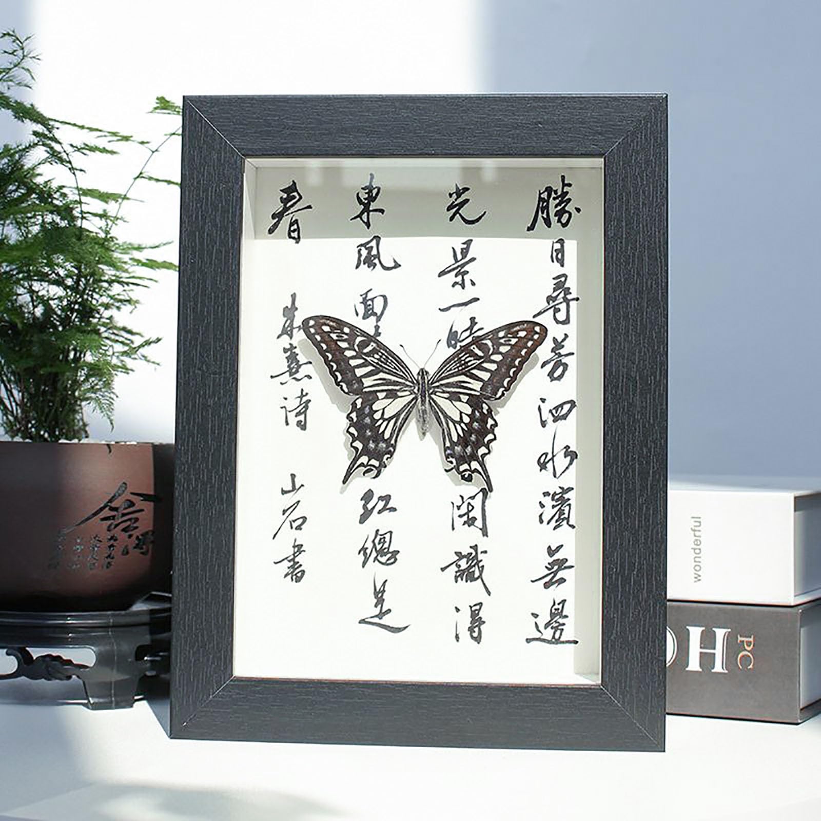 Real Mariposa Taxidermia Marco De Madera Negro Elegante Hecho A Mano(C)