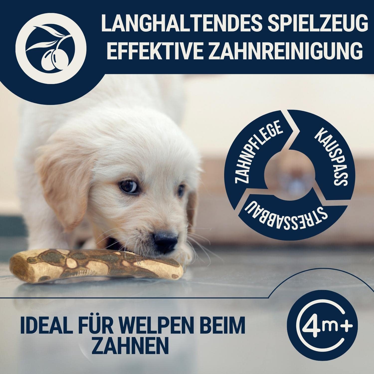 Bois d'olivier pour chien avec huile de saumon • Bois à mâcher de qualité supérieure comme jouet pour chien • Bâton à mâcher en bois • Lot de 3 bâtons de mâcher L 221-450 g