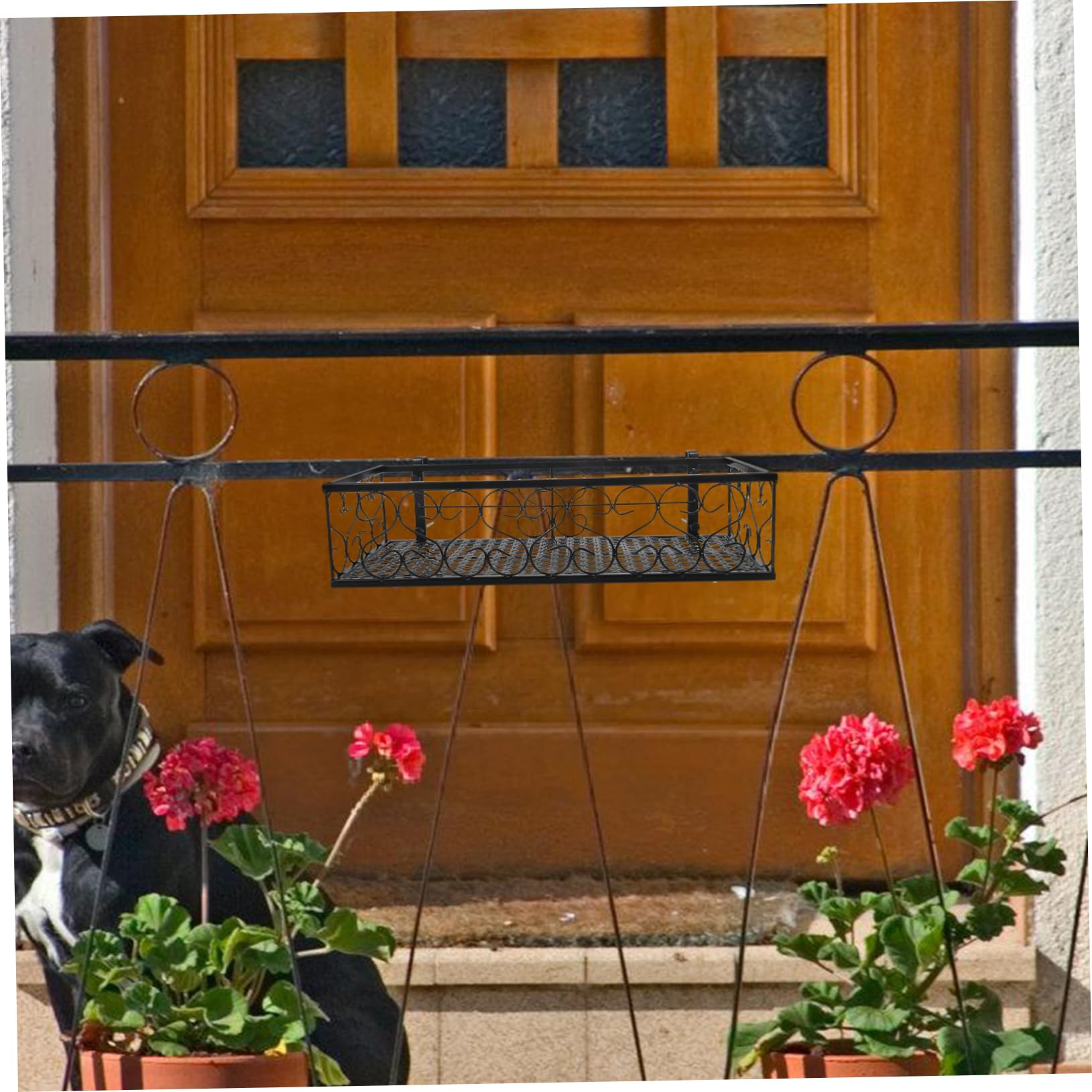 Hemobllo Balkon Hängeblumenständer Aus Eisen Robust Und Platzsparend Für Geländer Und Zäune Für Pflanzen Und Sukkulenten Für Zuhause Und Cafés Schwarz