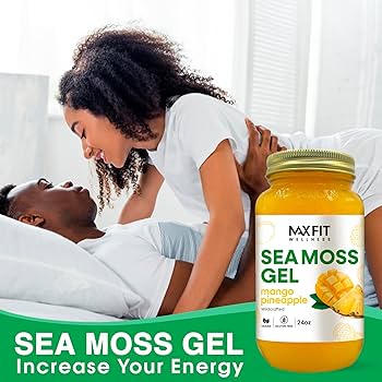 Amazon.com : MAX FIT Sea Moss Gel Raw (12 Flavors) 24oz