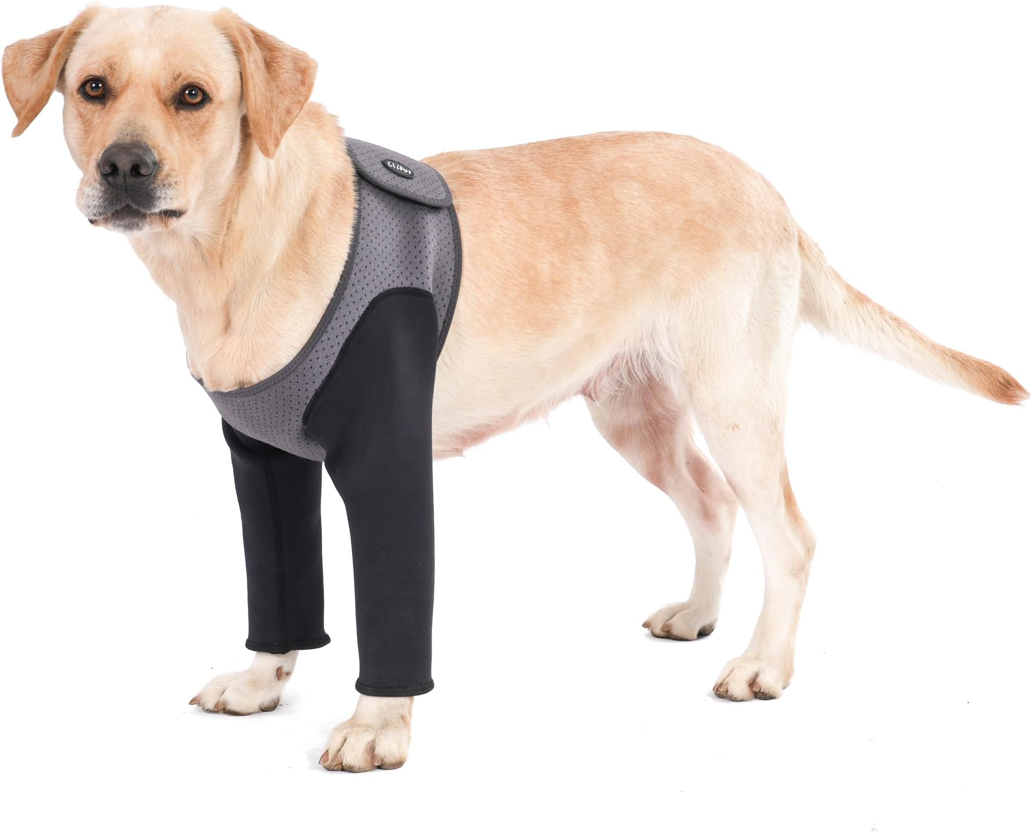 Dog Sleeves for Wounds Both Front Legs，Cone Collar Alternative, Abrasion Resistant Dog Recovery Sleeve, Washable 2.5mm Thick and Waterproof, Breathable Pet Wounds Prevent Licking (Medium, Grey)