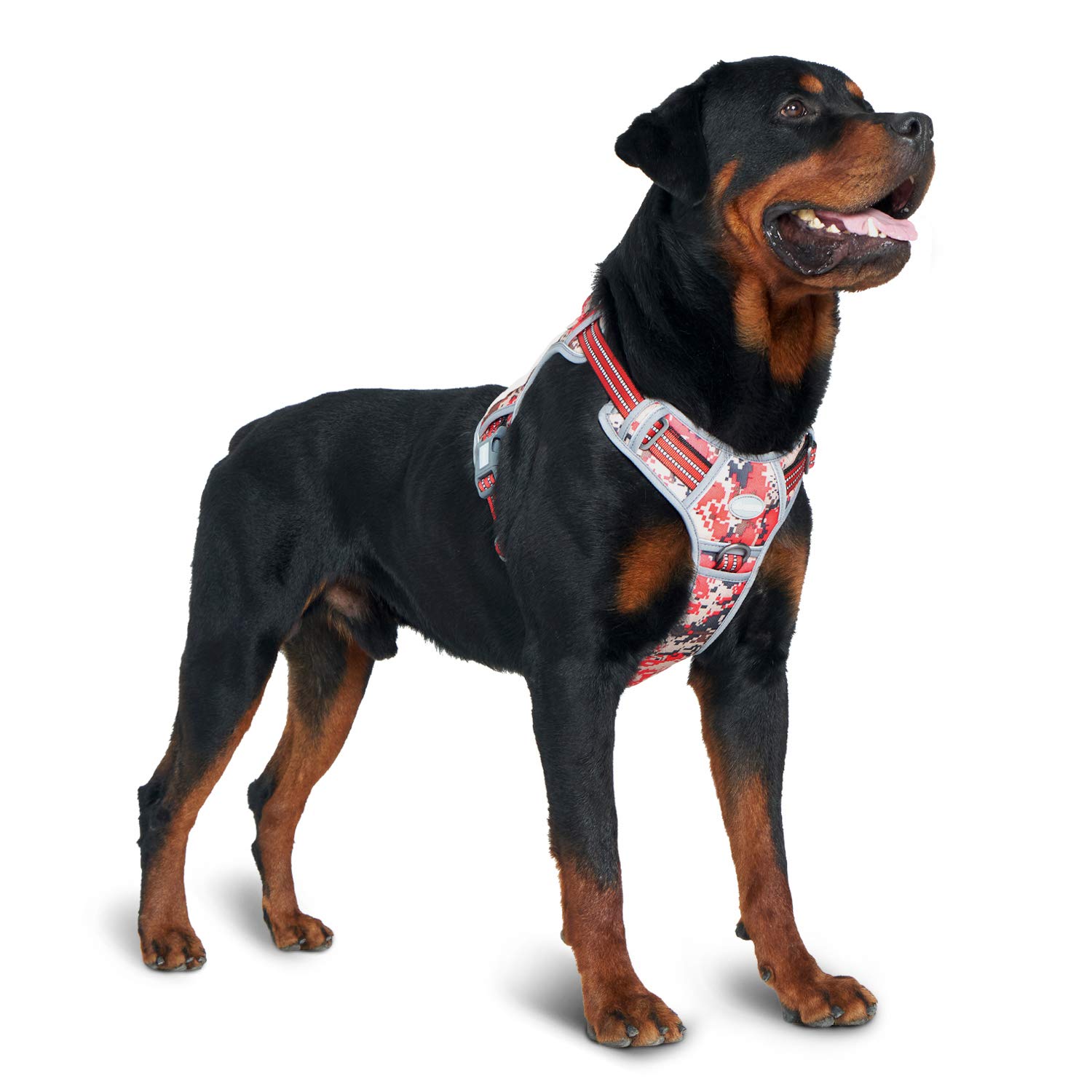 military camo dog harness