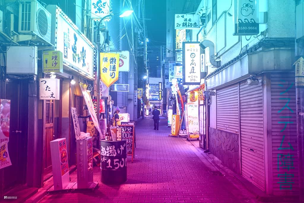 Amazon Com System Failure Japan Alley Photo Vaporwave Aesthetic Decor Retro Vintage 90s Y2k Room Decor Neon Pink Bedroom Decor Indie Vibey Aesthetic Teen Bedroom Chill Laminated Dry Erase Wall Poster 36x24 Posters