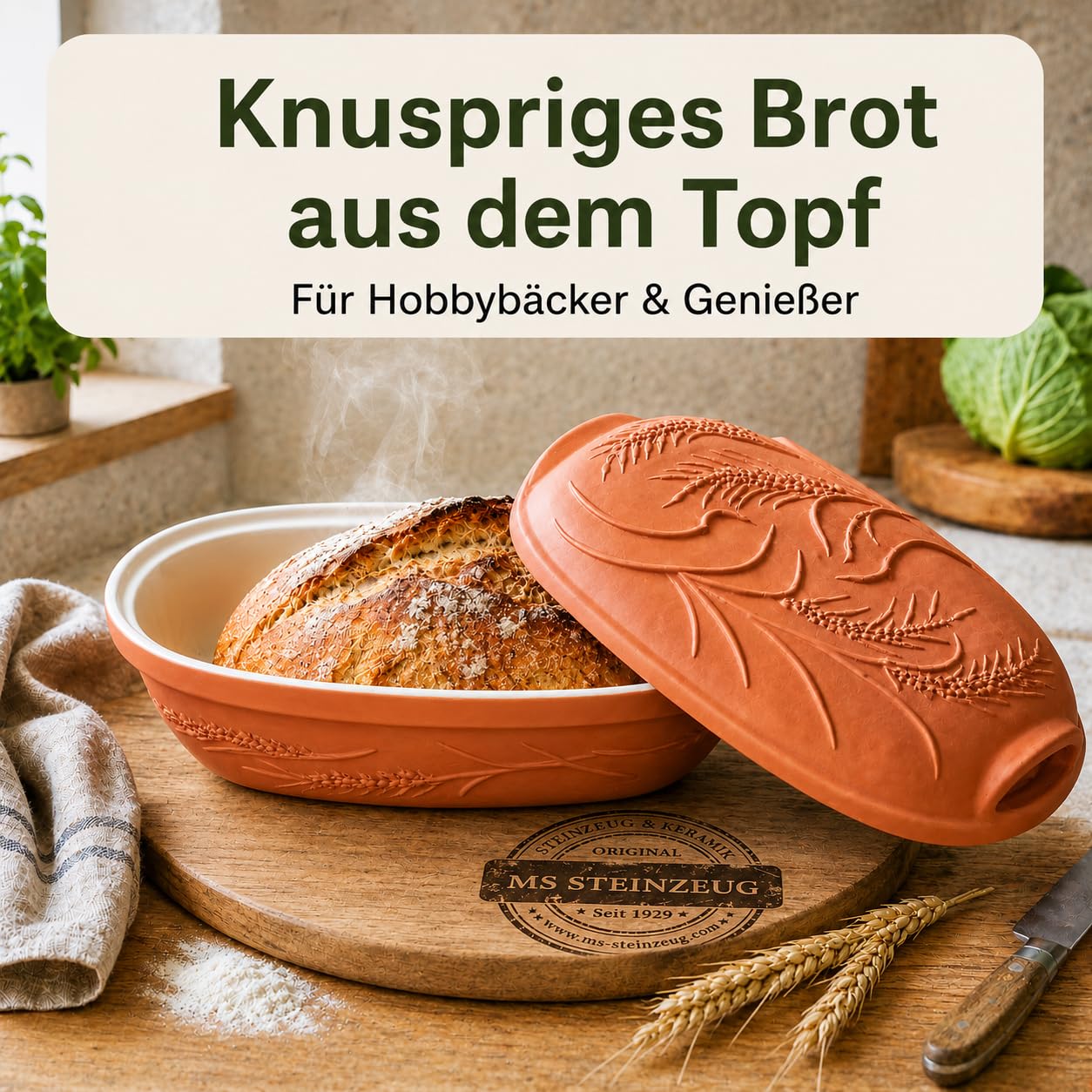 MS Steinzeug Brottopf Terrakotta TerraStone, oval mit Deckel, 38x24x14 cm | Brotbacktopf aus offenporigem Naturton zum Backen und Aufbewahren – speichert Feuchtigkeit für frisches Brot