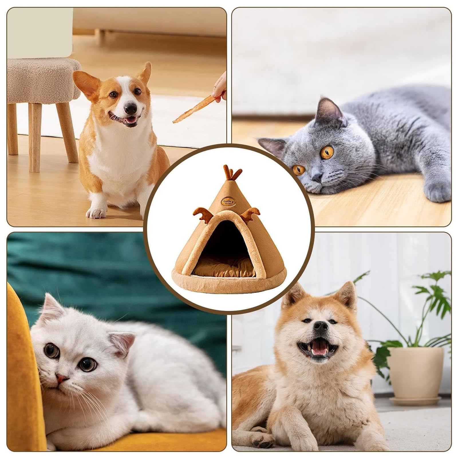 Cuccia per Gatti,Cuccia per Gatti con Tessuto Morbido e soffice,Cuccia Pieghevole per Gatti con Cuscino Reversibile,Cuccia per Gatti a Scomparsa per Animali Domestici, Gatti, Cani,L