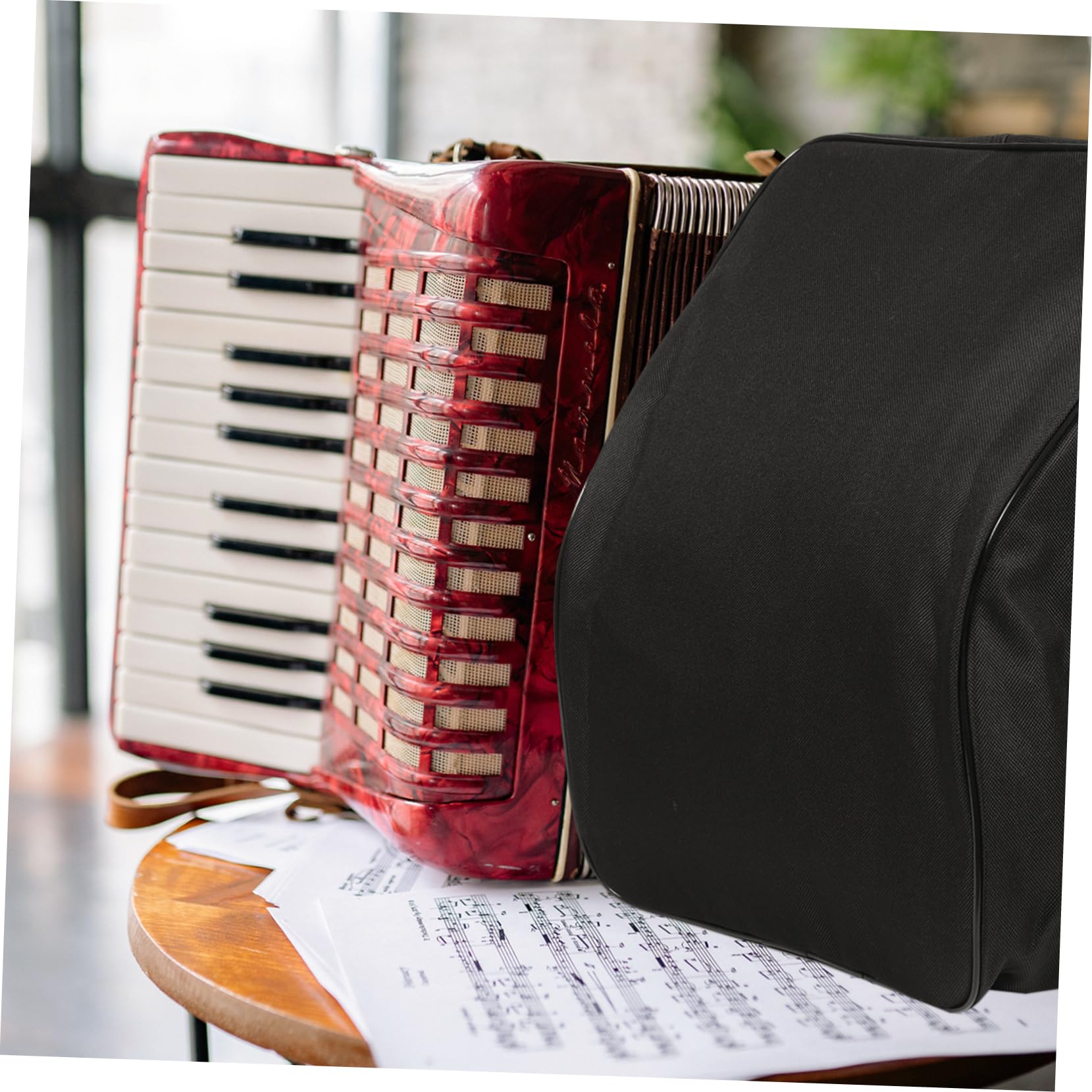 Abaodam Paquet à Dos Protection la Poussière et Saleté en Tissu Oxford pour Accordéon 8 Basses Noir Bandoulière Réglable pour Écoles et Églises