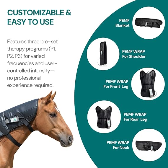 OMI Horses: Full PEMF Package