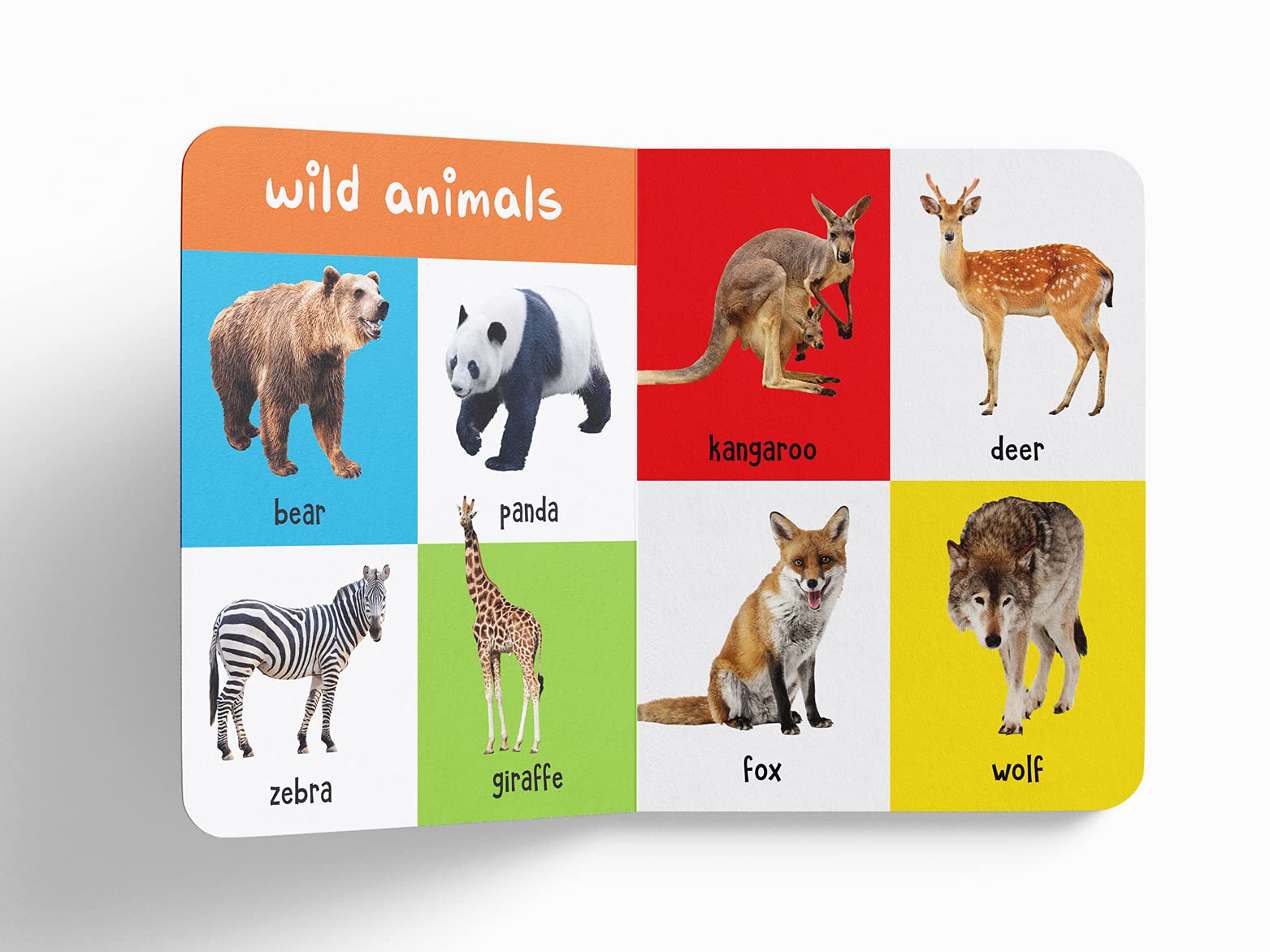 My First 100 Animals And Birds For Kids | Ages 0β5 Years | Board Book | Screen Free & Visual Learning | Wild & Farm Animals | Pets | Birds | Bright Picture Book | Vocabulary Building | Latest Edition 4