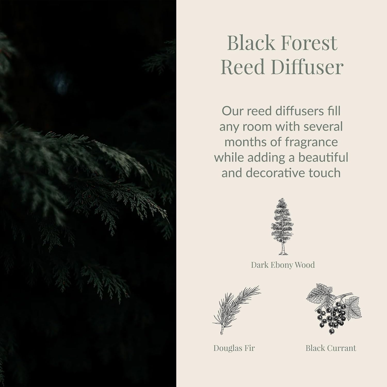 Archipelago Botanicals Black Forest Reed Diffuser, Home Fragrance Reed Diffuser, Includes Fragrance Oil, Decorative Wooden Cap & 10 Diffuser Reeds, Perfect for Home, Office or Gift, 7.85 fl oz - Image 3