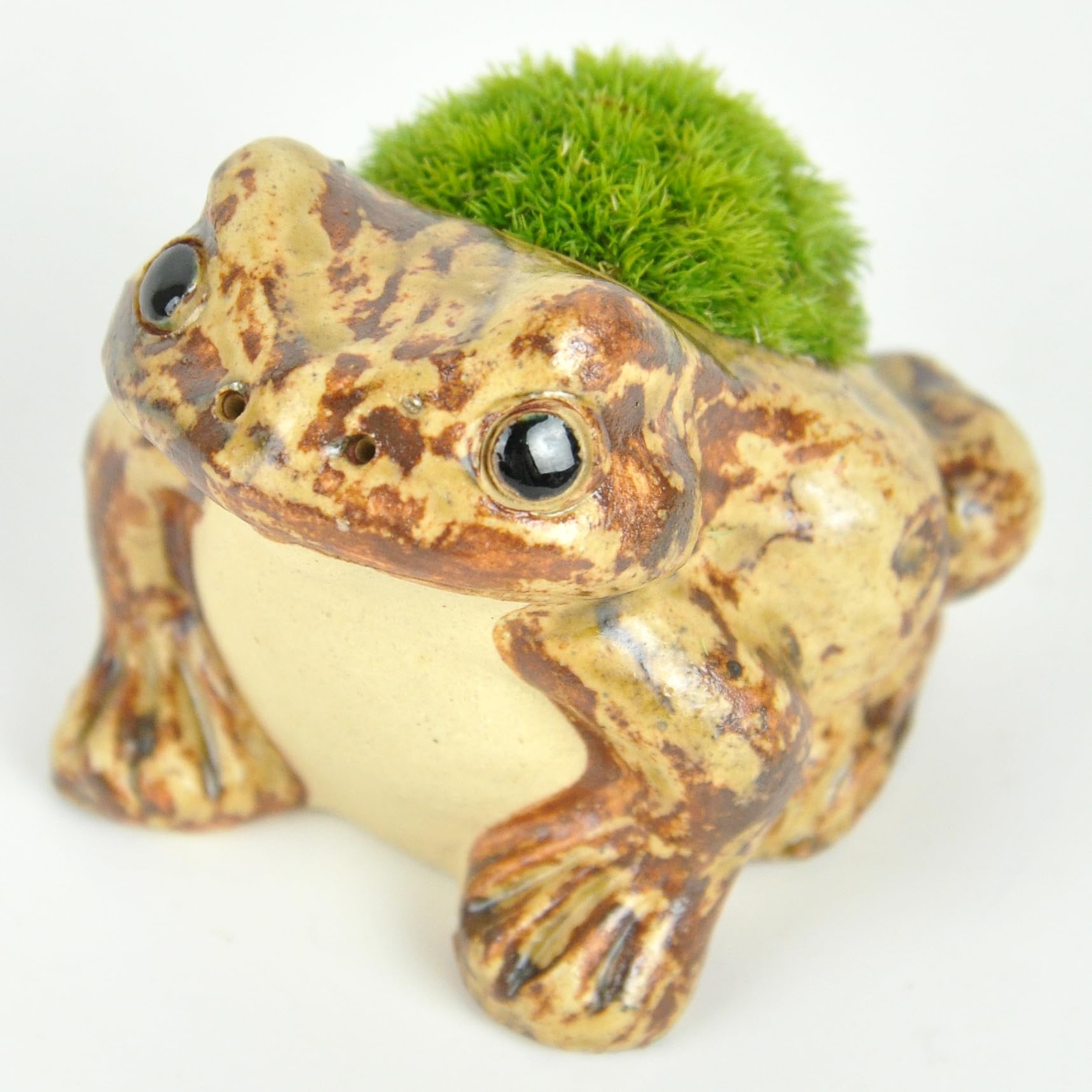 Amazon.co.jp: 盆栽妙 苔盆栽 かえる 竹かご入り カエル 蛙 小物
