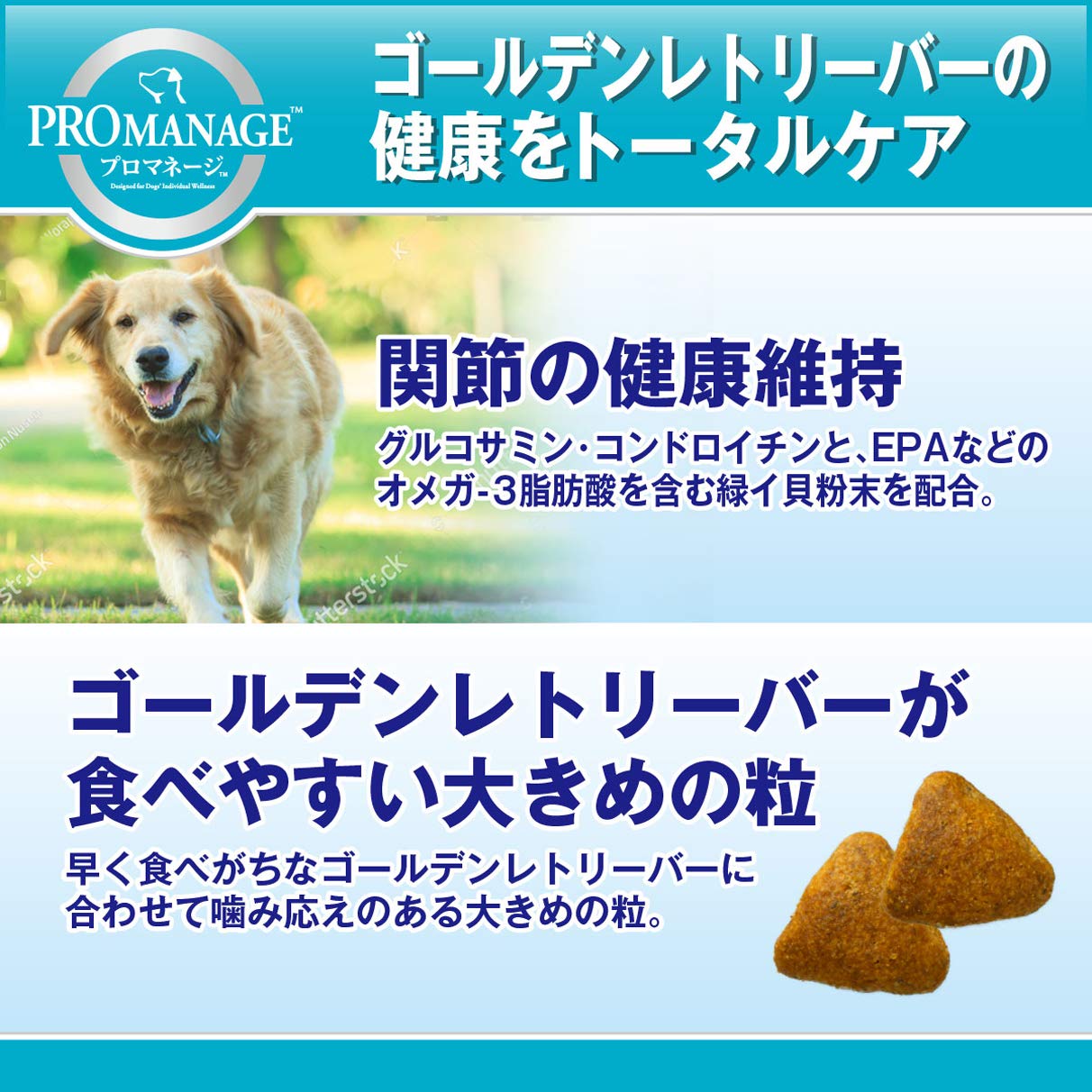 PROMANAGE ゴールデンレトリーバー専用 4kg✖️3袋合計12キロ Amazon.co.jp: プロマネージ ドッグフード 成犬用 ゴールデン