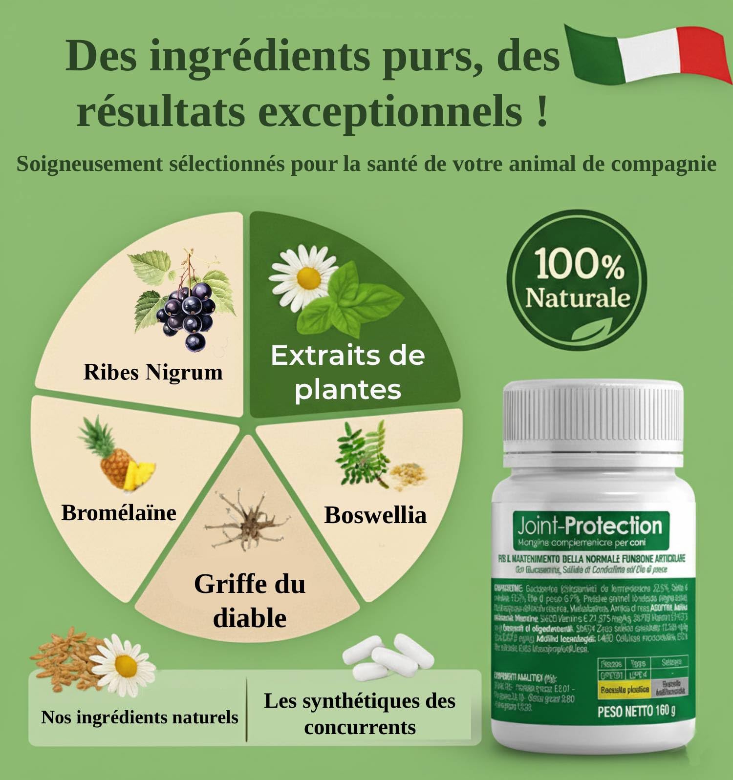 Joint-Protection Compléments Alimentaires Chondroprotecteurs Premium pour Chiens Cat Anti-Arthrose, Améliore la Mobilité Articulaire et Le Cartilage Made in Italy
