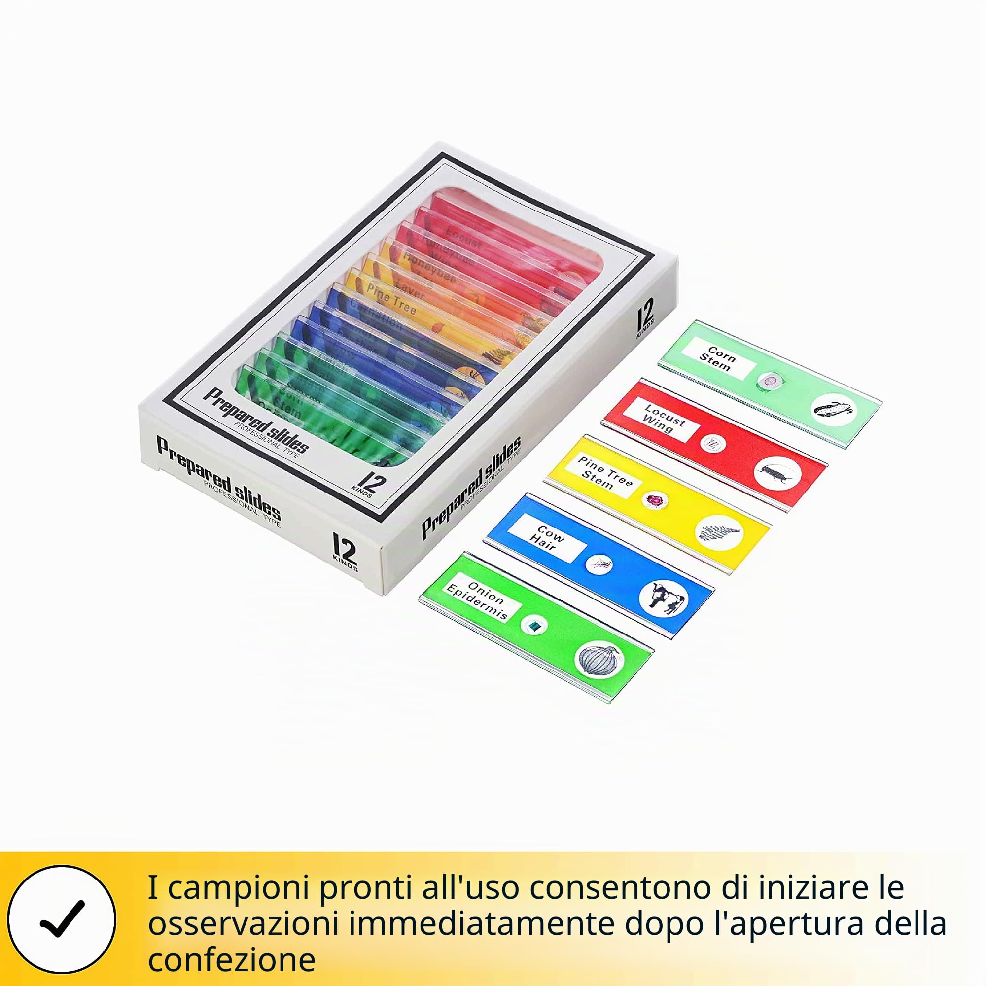 Levenhuk Rainbow DM700 LCD Microscopio Digitale Wireless con Schermo LCD da 7", Ingrandimento 10x–200x, Telecomando e Vetrini Inclusi nel Kit