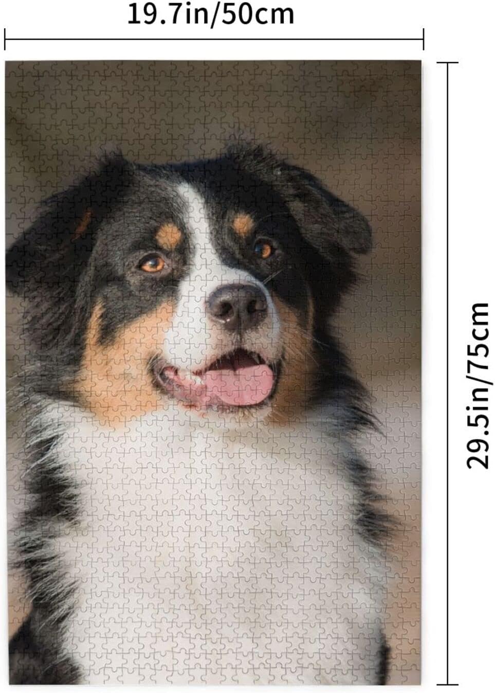 Australian Shepherd Jigsaw Puzzles 1000 Pieces for Adults - Puzzles for Adults and Children Home Decoration 1000 pcs Jigsaw Puzzle Game Toys Gift