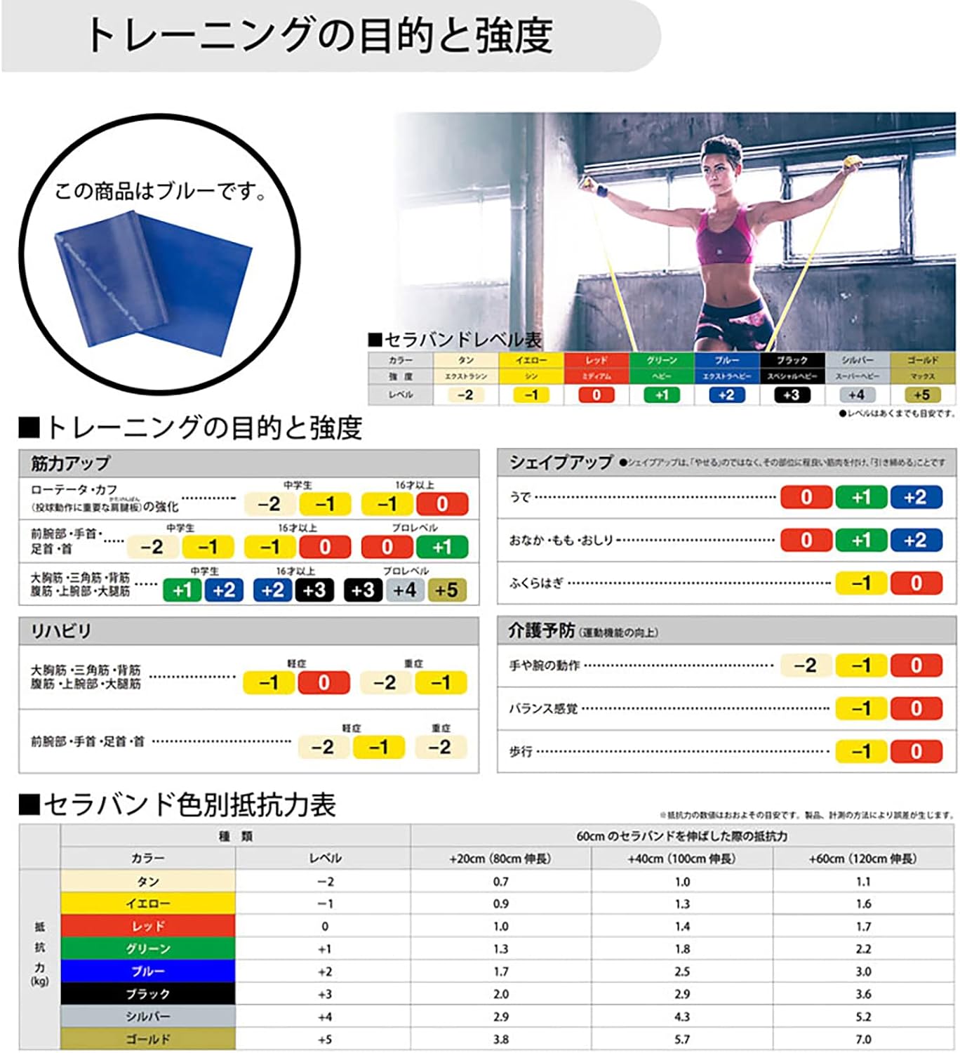 セラバンド トレーニングバンド トレーニングチューブ 1m マニュアル付 初心者 レジスタンスバンド フィットネスチューブ ストレッチバンド 筋トレ D&M ディーアンドエム Theraband 国内正規代理店 切って使える