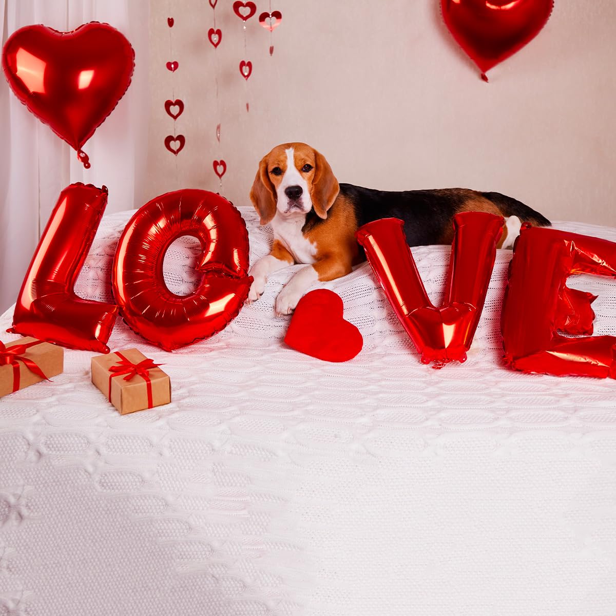 SPARKLERS CLUB MY VALENTINE RED HEART - Palloncini a forma di cuore rosso (x10) + bottiglia di Helium + 100 petali di rosa rossa + palloncino LOVE + nastro in amante, ideale per San Valentino