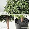 Product Photo 7