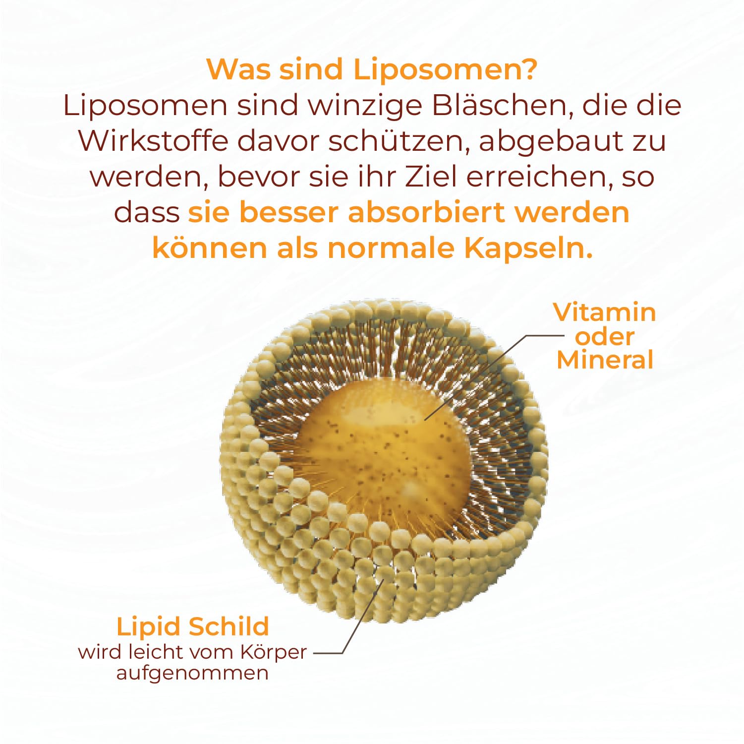 Vitamin C - Hochdosiert 900mg pro Tagesdosis Liposomal Vitamin C - Liposomales Technologie garantiert volle Vitaminabsorption - 90 Kapseln 3er-Pack - Vegan, GMP Qualität