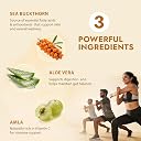 Nutriorg Sea Buckthorn Juice with Aloe Vera & Amla - 2.5L | Omega 3,6,7,9, Vitamin C & Antioxidants | Boosts Immunity, Gut & Skin Health | Natural Health Drink | No Added Sugar or Preservatives gallery image