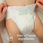Earth & Eden Sensible | Couches éco-responsables et hypoallergéniques | Taille 2 | 204 unités