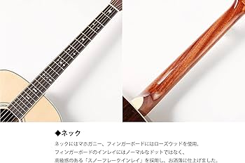 Amazon | S.Yairi ヤイリ アコースティックギター 初心者セット 入門