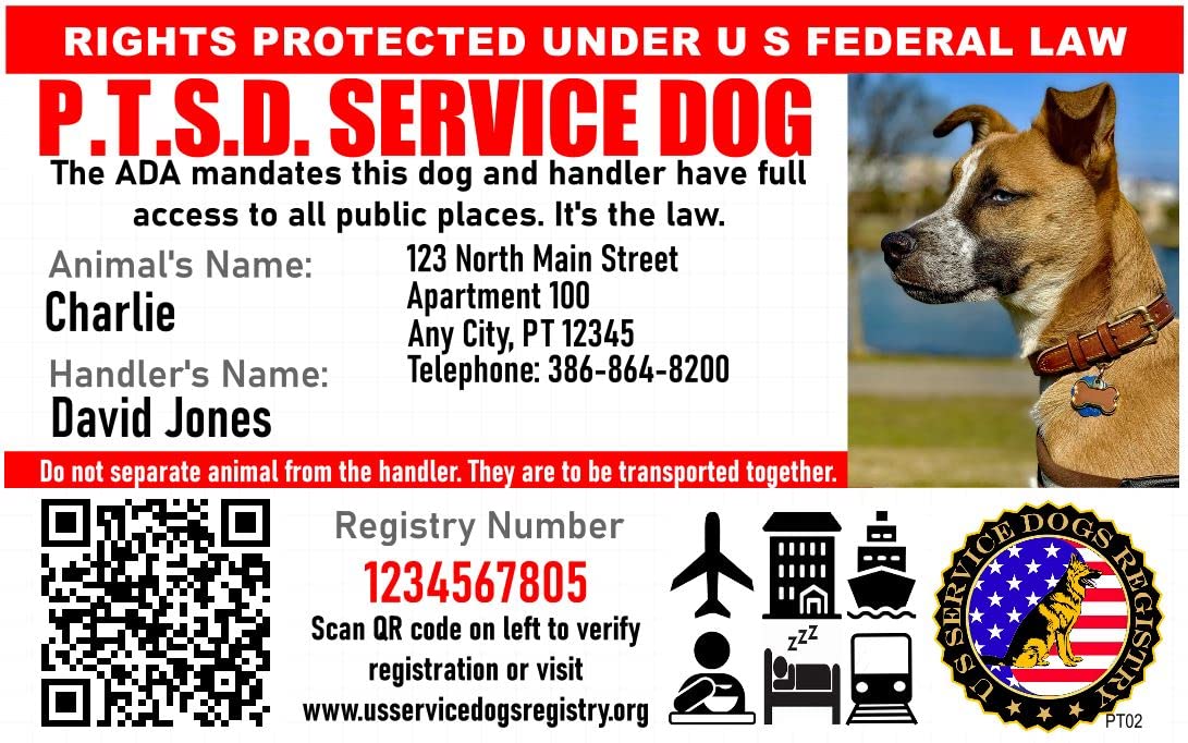 Can You Get A Service Dog For Ptsd Can You Get A Service Dog For Ptsd