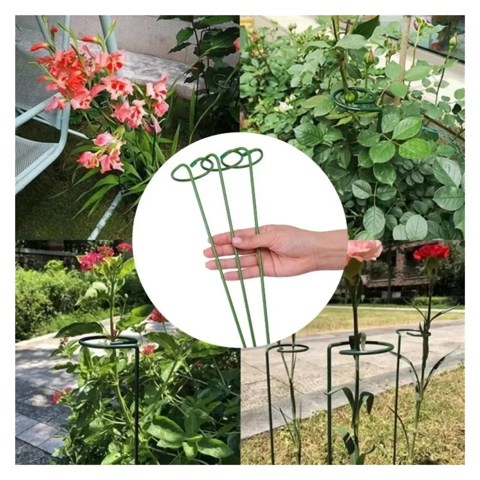 Tuteurs Pour Plantes Piquets de support for plantes de jardin vert