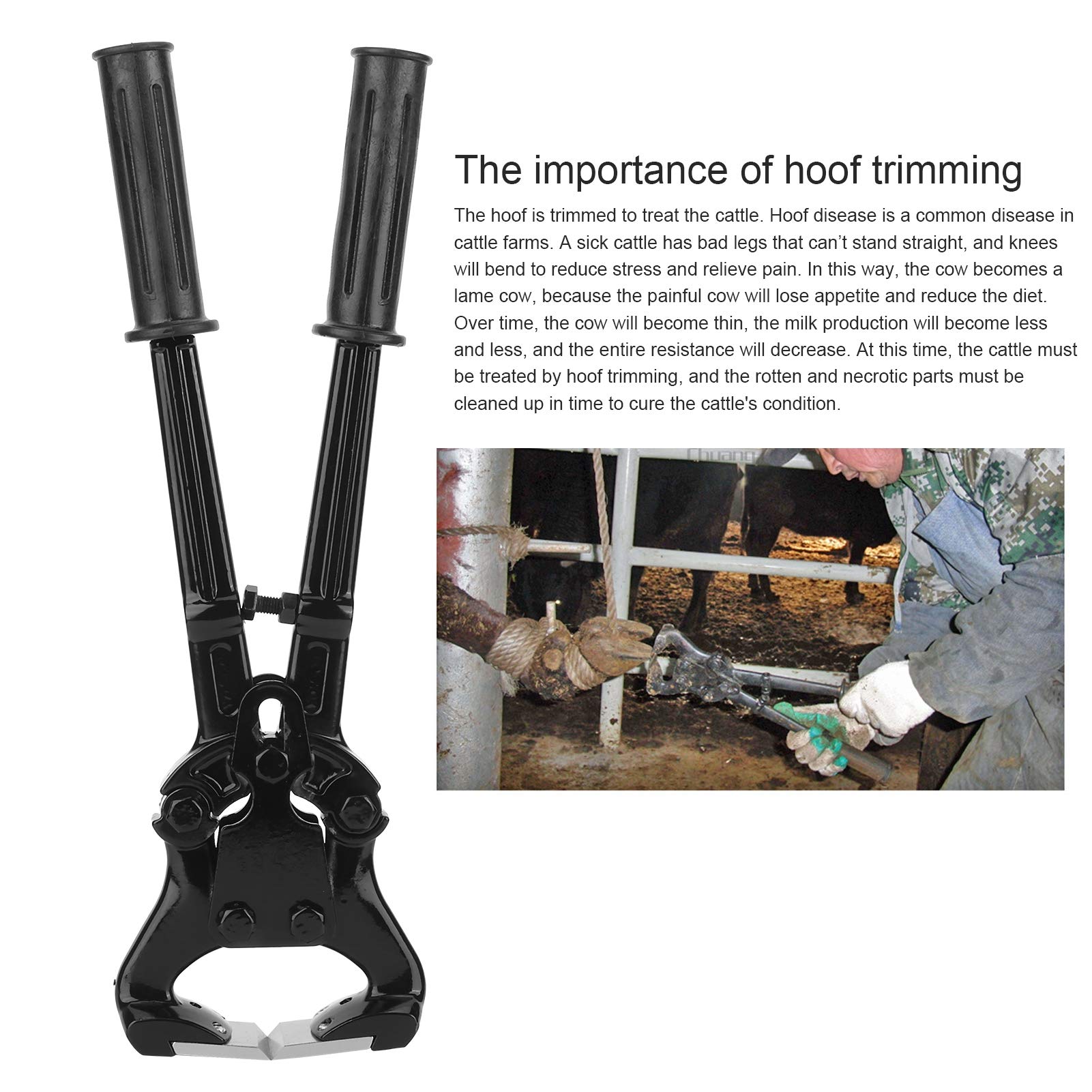 Pinza per taglia zoccoli di mucca in acciaio inossidabile Strumento multifunzionale per la cura degli zoccoli del bestiame Design ergonomico durevole