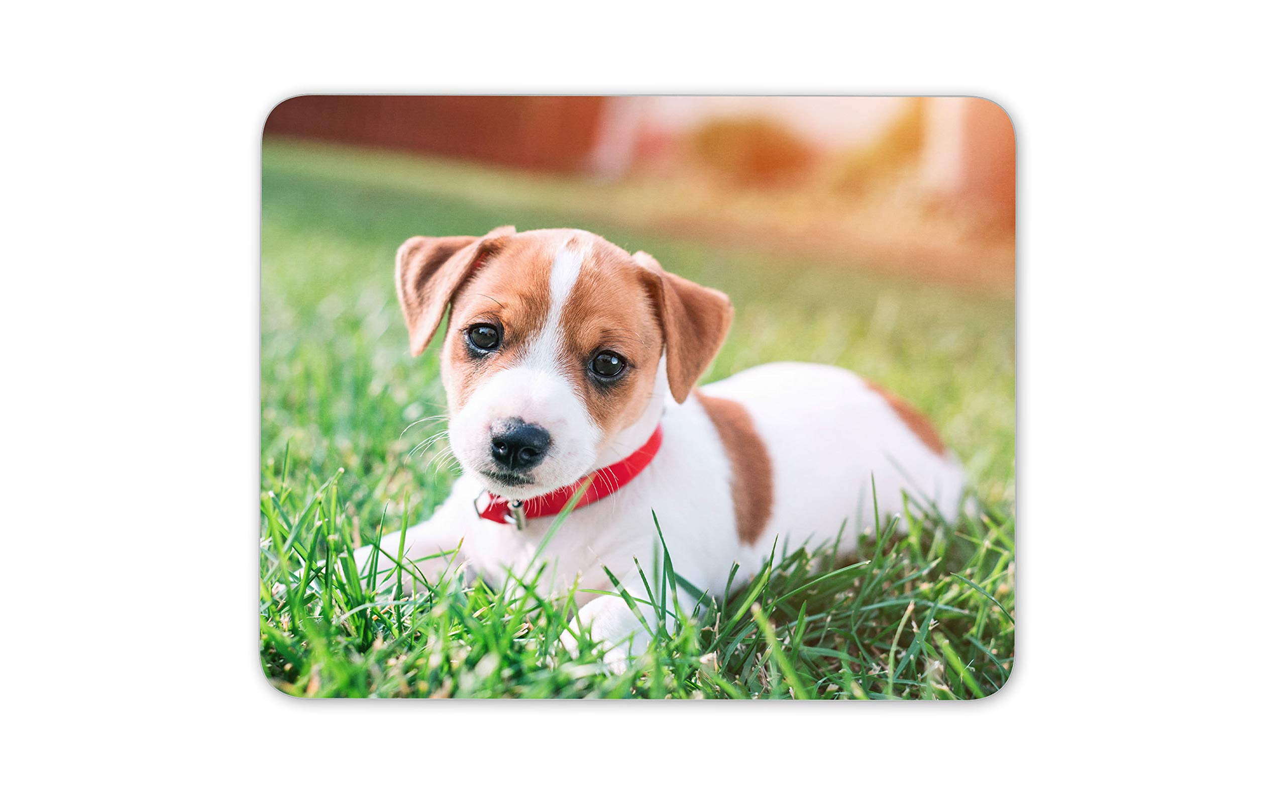 Destination Vinyl ltd Jack Russell Terrier Puppy Mouse Mat Pad - Dog Cute Baby Computer #15879