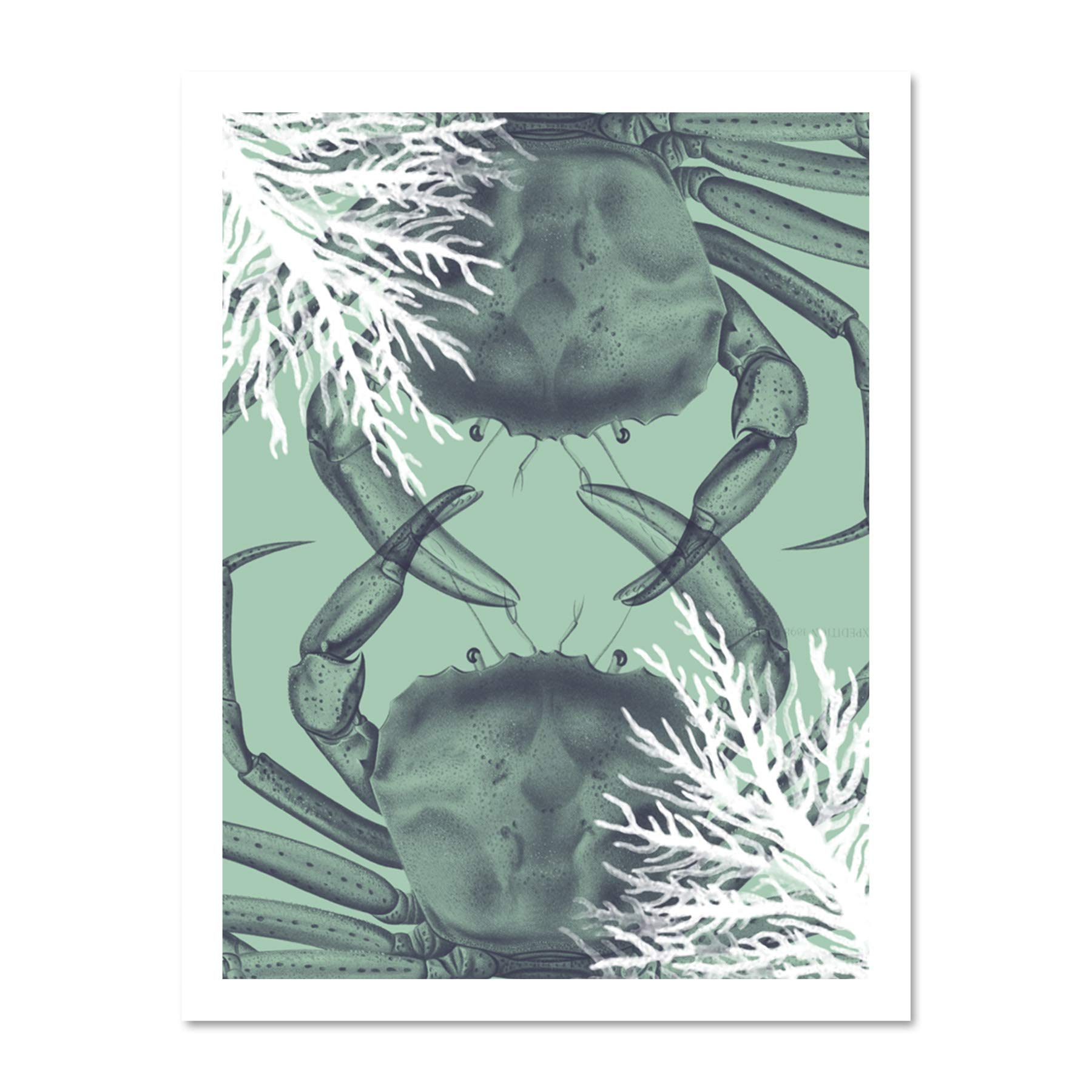 Wee Blue Coo Crab And Coral Collage Large White Framed Art Print Wall Poster 18x24 inch