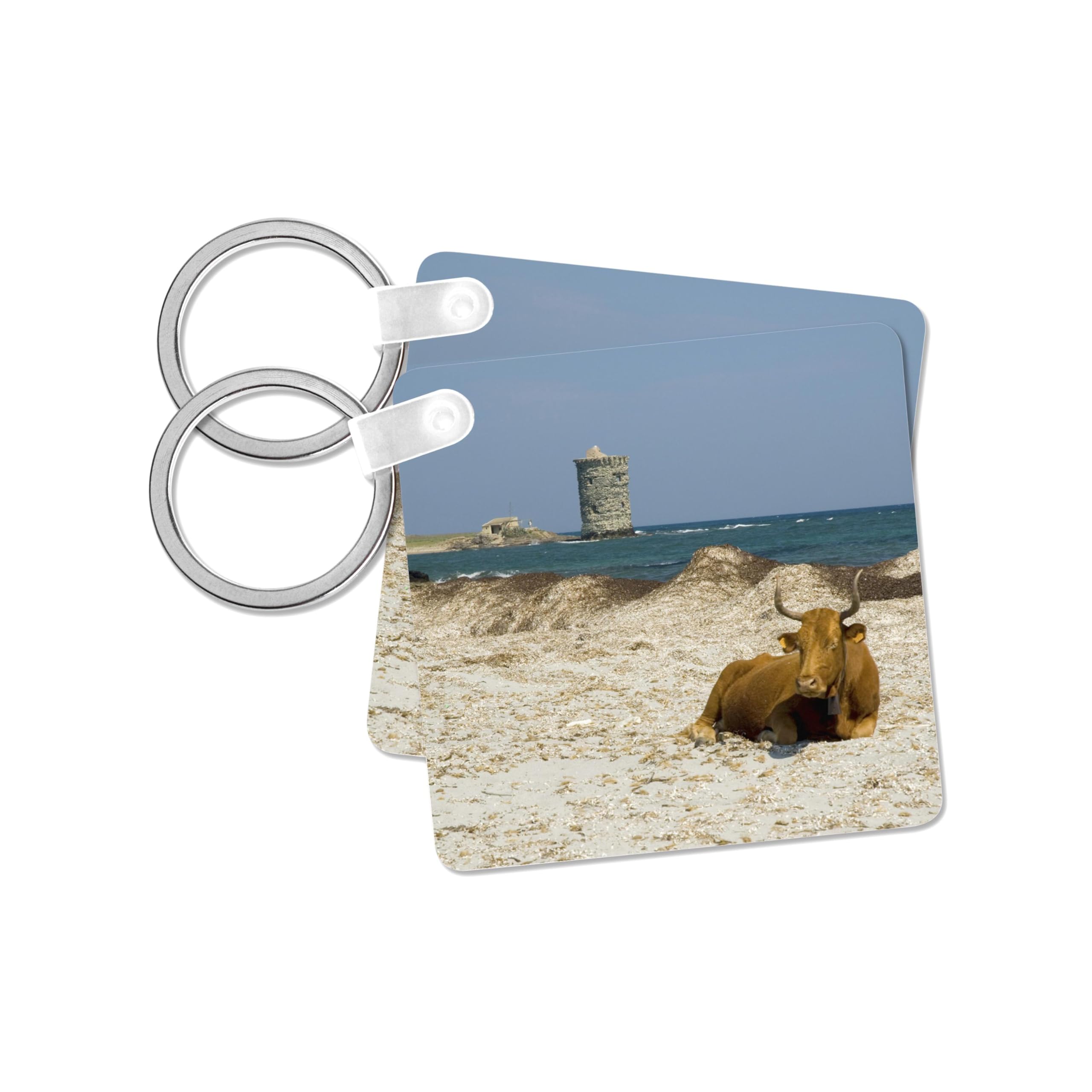 3dRose, France, Corsica, Cap Corse, Wildlife, Cows, Beach - EU09 TDR0036 - Trish Drury, set of 4 Key Chains