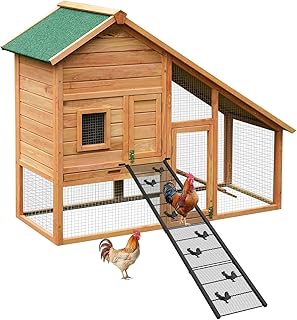 Chicken Adjustable Chicken Coop Ramp
