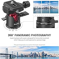 Vista 2 de SmallRig Mini Cabeza de Bola, Cabeza de Trípode para Cámara Panorámica 360° con Tornillo de 1/4" y Montaje de Rosca de 3/8" y Placa de Liberación