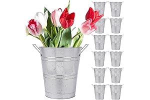 Rustic Farmhouse Bmore: Galvanized Metal French Flower Bucket Vase