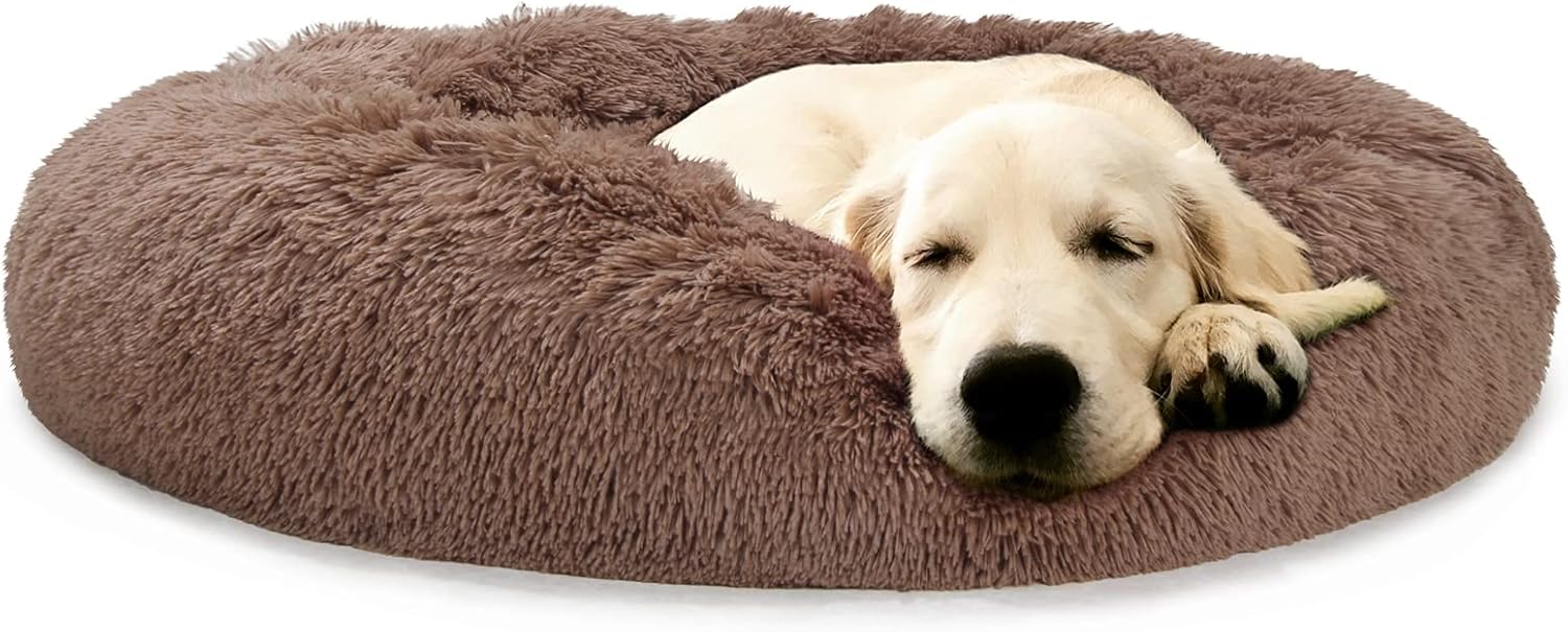 large breed dog beds