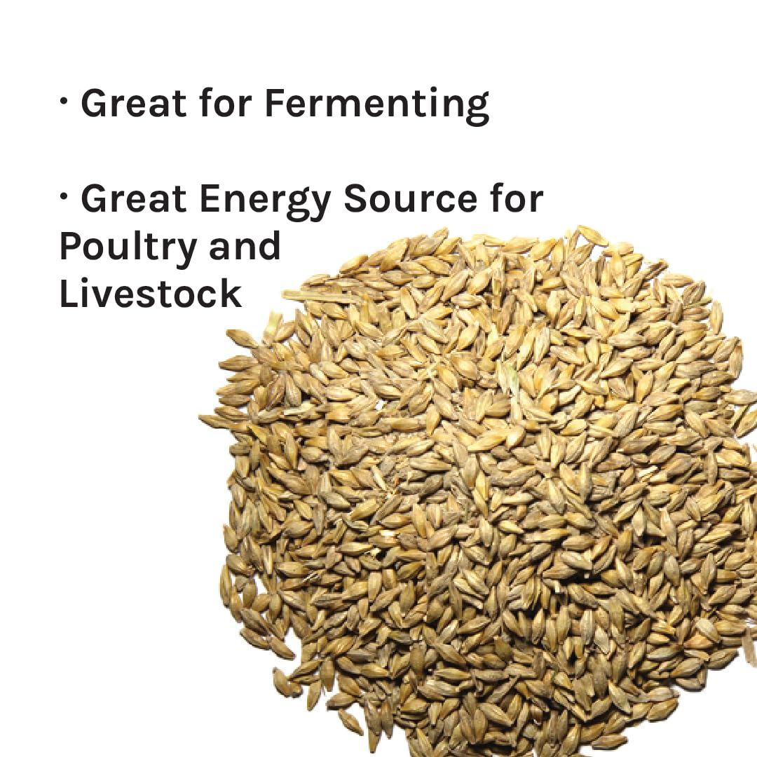 New Country Organics | Organic Barley for livestock | Certified Organic and Non-GMO | Feed Grade | 40 lbs