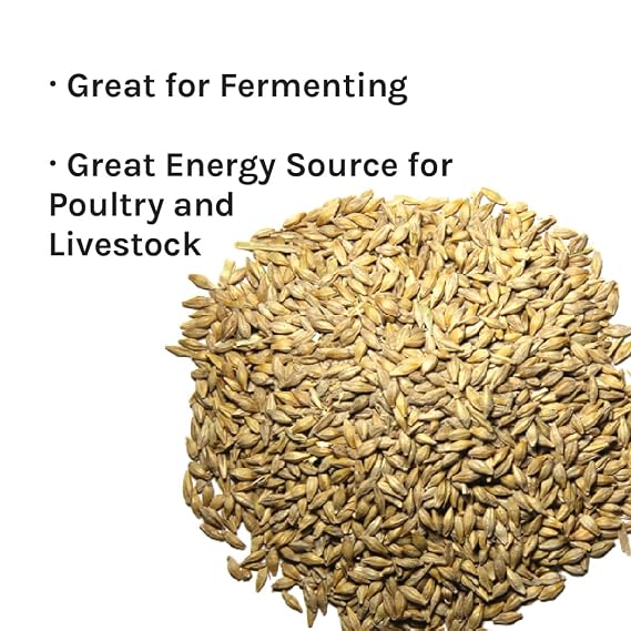 New Country Organics | Organic Barley for livestock | Certified Organic and Non-GMO | Feed Grade | 40 lbs