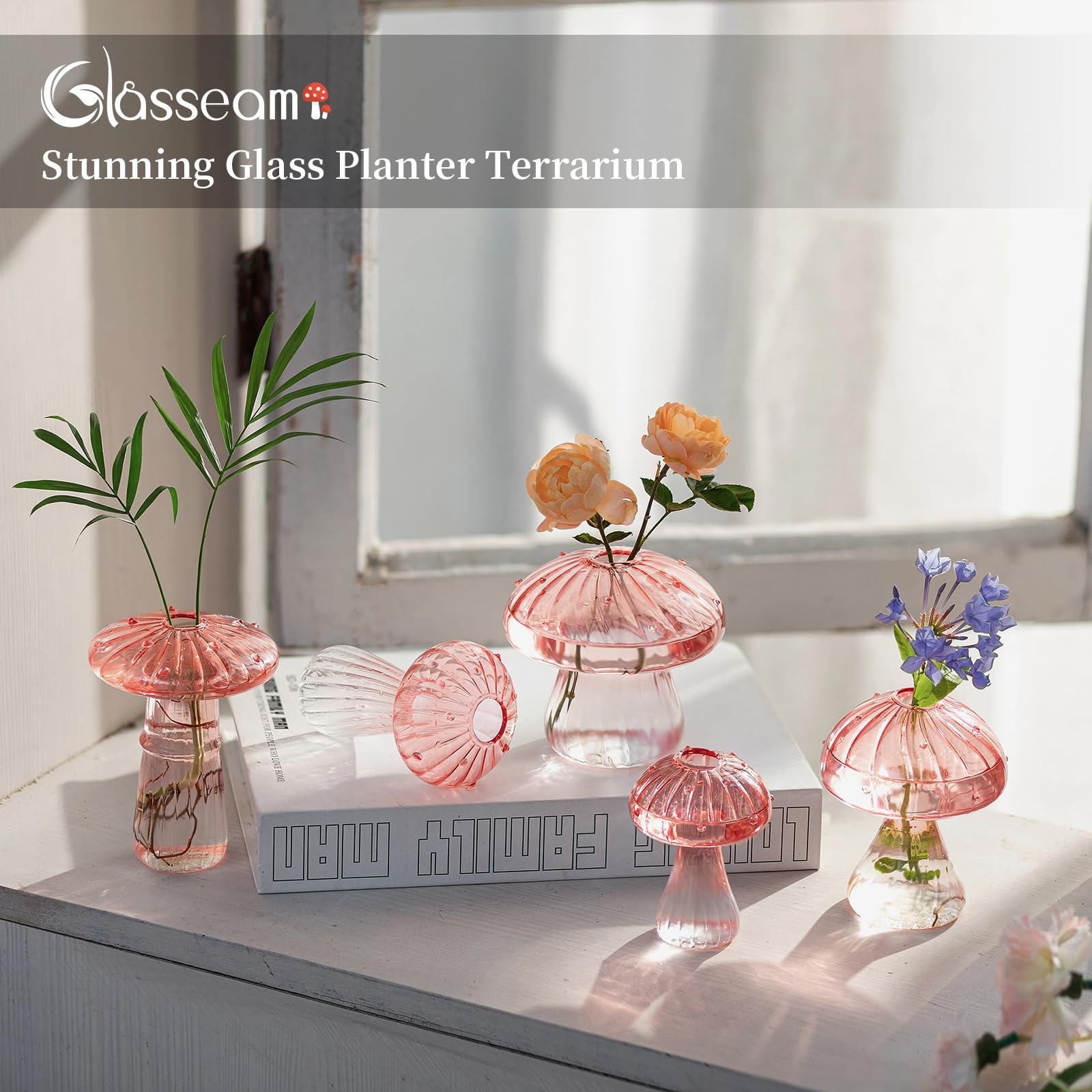 Glasseam Mushroom Plant Propagation Stations: Pink Glass Terrarium Jar Set of 5 Cute Planters for Indoor Plants Decorative Propagate Station Unique Christmas Birthday Gifts for Women Home Office Decor - 5