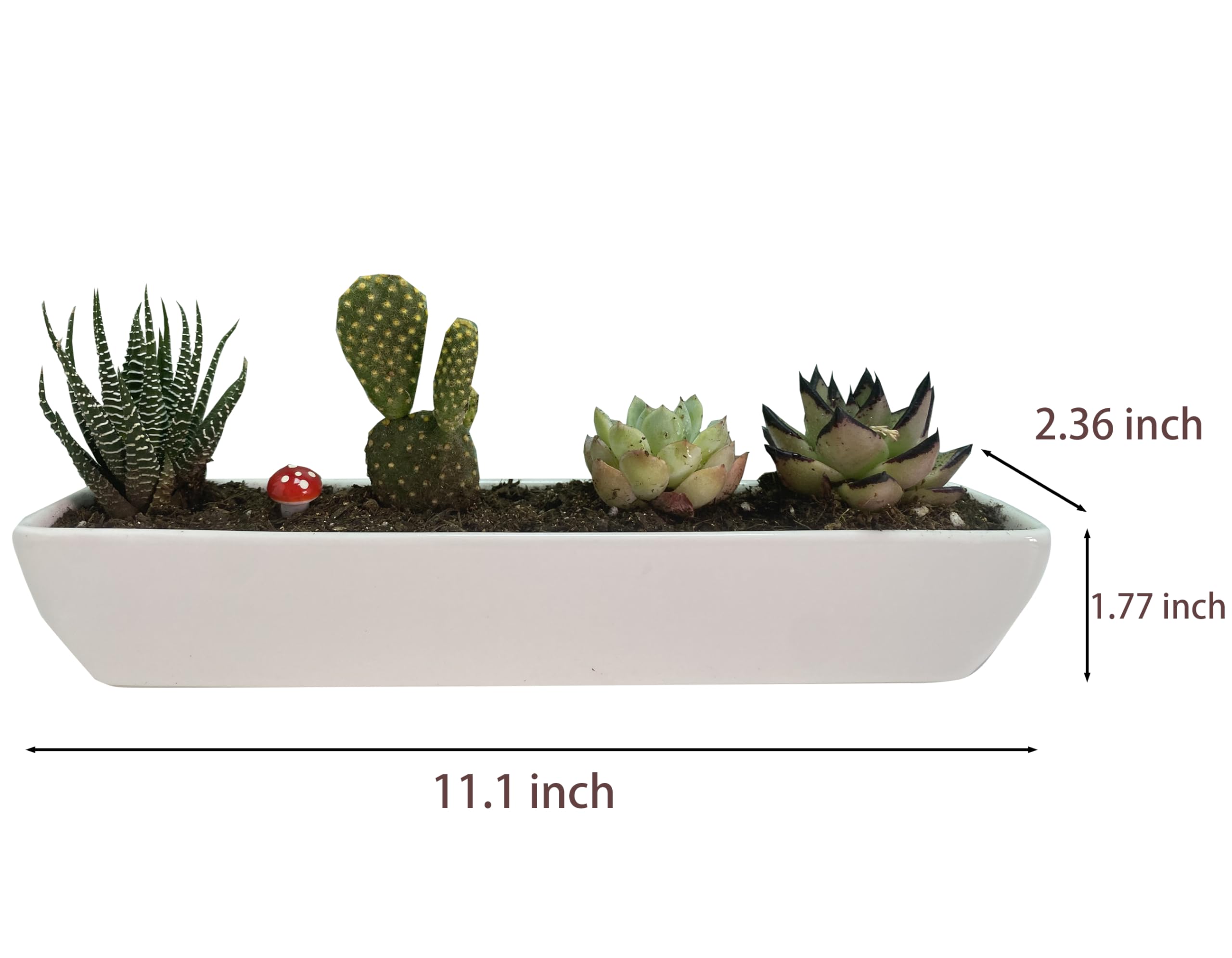 28,2 cm lange, rechteckige weiße Keramik-Sukkulenten-Übertöpfe mit Keramik-Untertassen, Mini-Blumen-Pflanzbehälter, Blumenkästen für Büro/Zuhause, 2 Stück rechteckige Töpfe