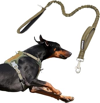 BUMBIN Dog Harness for Large Dogs No Pull, Tactical Dog Harness, with Handle, Adjustable Dog Vest Harness, 6Ft Bungee Dog Leash Large Dogs, No Pull Shock Absorbing Dog Leash with Car Seat Belt