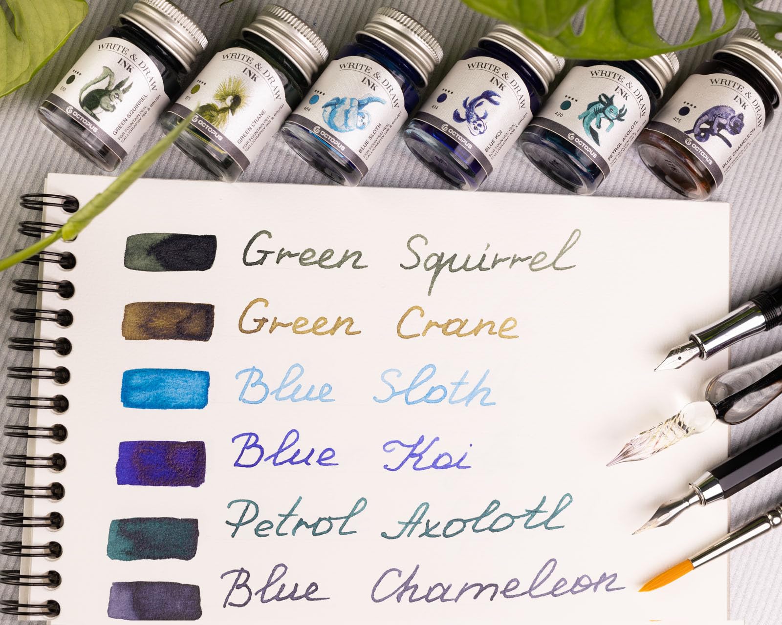 Octopus Write and Draw Ink Set MOUNTAIN, watervaste inkt voor schrijven en tekenen, kalligrafie inkt, lichtechte tekeninkt voor vulpen, glaspen, penseel, 6 x 10 ml