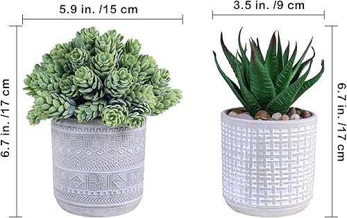 Miniatura 3 de Juego de 3 plantas suculentas en maceta pequeñas surtidas de aloe falso perlas y lúpulo suculentas en macetas geométricas grises macetas de cerámica