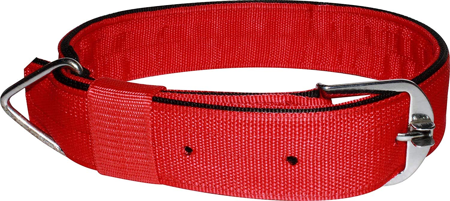 BUYAGAIN Dog Belt 2 inch Red Dog Collar Adjustable Neck Size 62-80 cm Specially for Heavy & Large Breed Dog Collar (B08RWTG3TS) Amazon Price History, Amazon Price Tracker