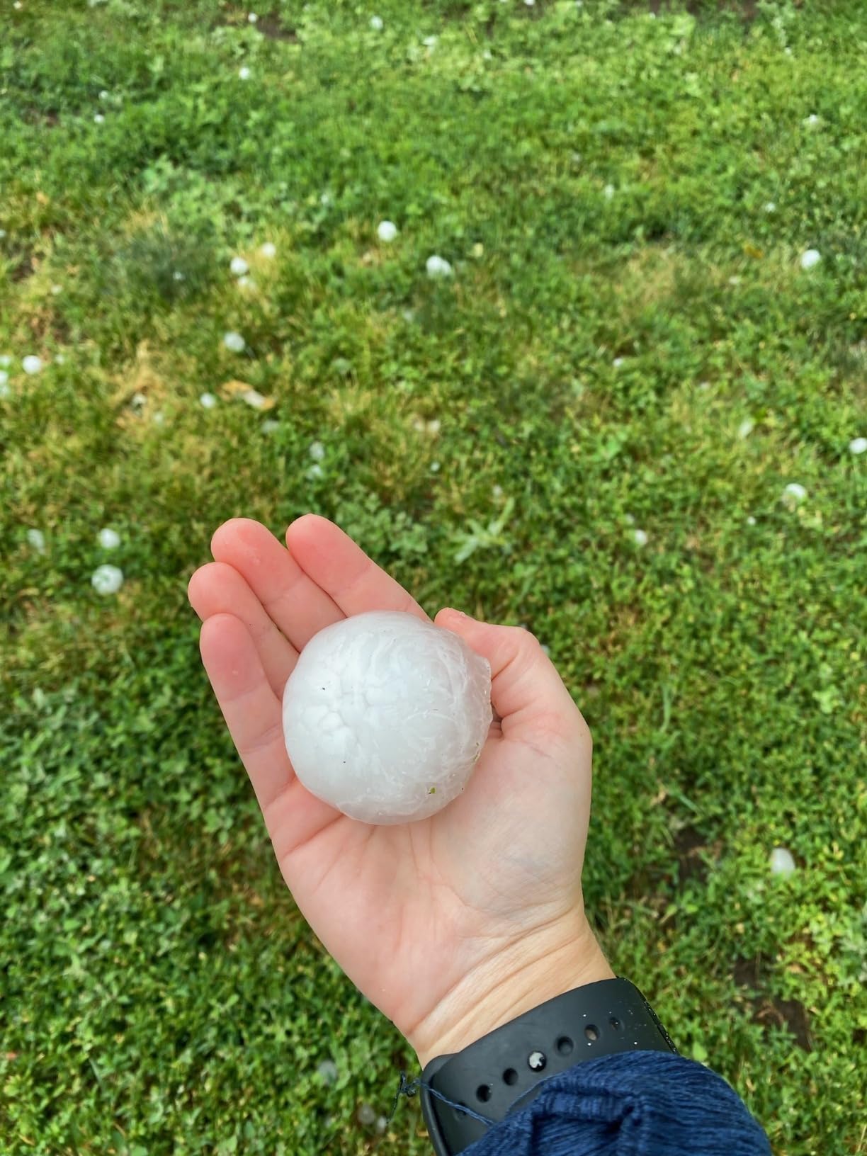 6/mo Finance 2 Pack Garden Trellis for Climbing Plants Outdoor, 6ft