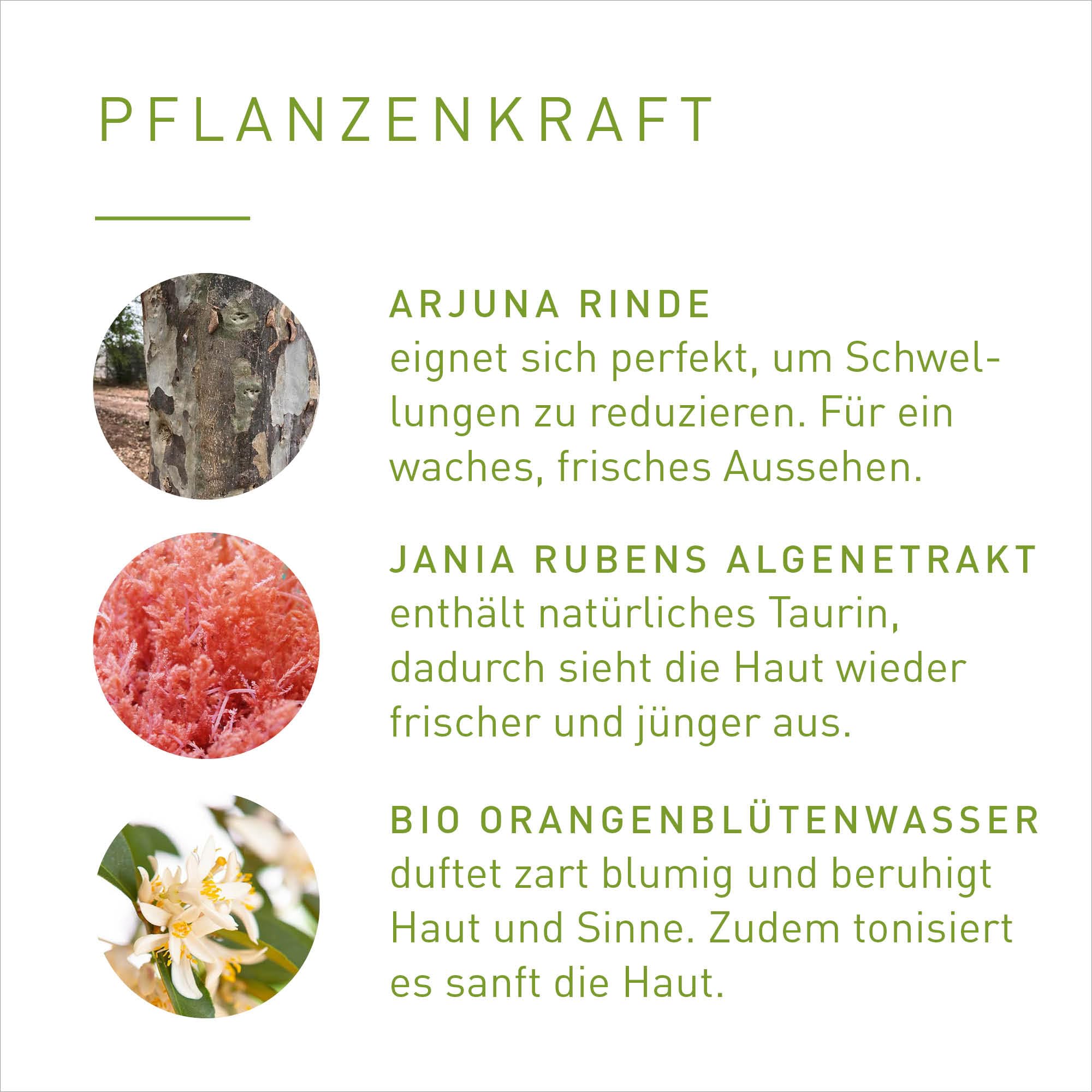 PRIMAVERA Krem pod oczy do twarzy – Cell Renewing 25 ml – naturalny kosmetyk – bardzo skuteczny krem do oczu i twarzy do wszystkich rodzajów skóry – odnowienie komórek oczu i twarzy – wegański