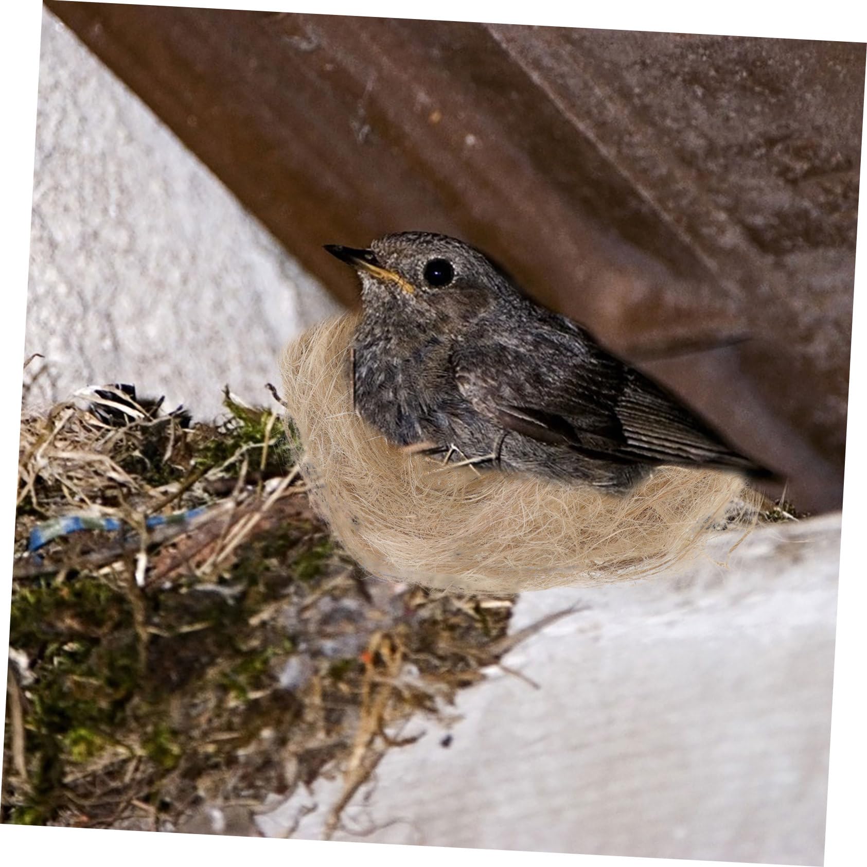 COLLBATH Natürliches Jute Vogelnistmaterial Für Innen- Und Außenbereich Weiches Nistfüllmaterial Für Warme Vogelnester Im Winter Nistkastenzubehör Für Wildvögel Und Papageien