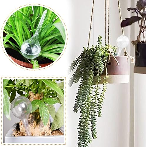 Miniatura 5 de 10 globos de riego transparentes para jardín, bolas de plástico de riego automático, globos de riego automático para plantas interiores y