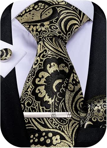 DiBanGu Paisley Ties for Men Silk Necktie and Pocket Square