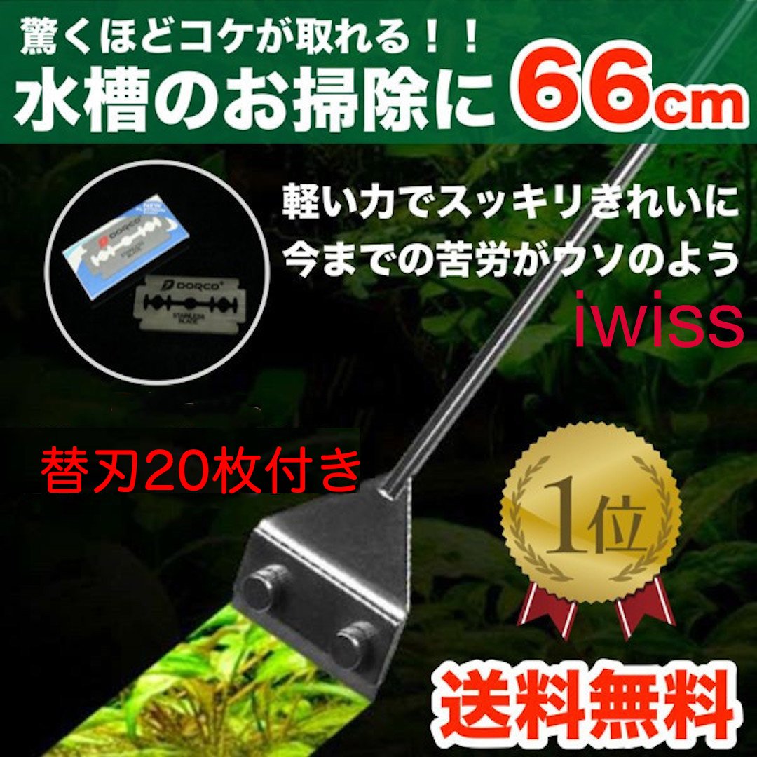 Amazon | プロレイザー スクレーパー 水槽 苔 コケ取り 掃除 66cm