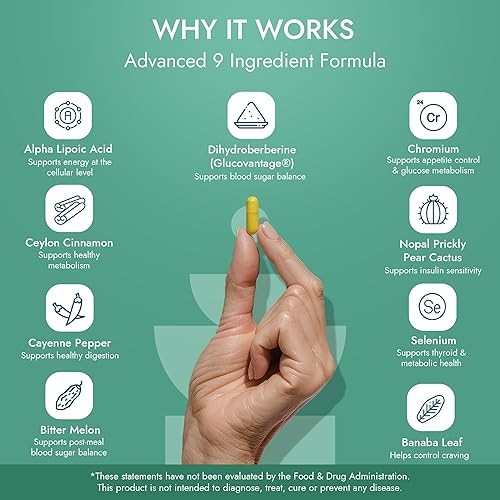 Miniatura 4 de Dihydroberine Super Berberine Suplemento - GlucoVantage 250 mg, 60 cápsulas - Biodisponibilidad mejorada sobre berberina HCL - con canela de Ceilán